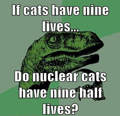 philosoraptor_nuclear cats